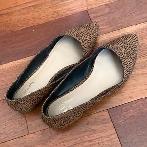 MIX NO. 6 Spotted Rowland Flats